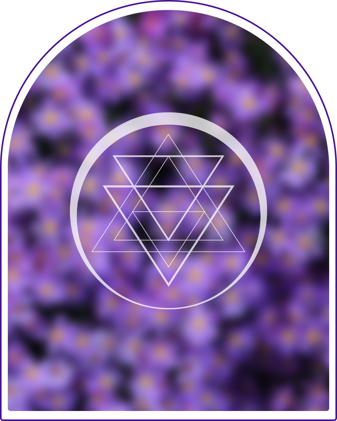 Violet Soul Colour